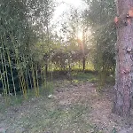 Matilda Iii - Naturidyll Mit Komfort * Mirow