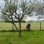 Matilda Iii - Naturidyll Mit Komfort Mirow