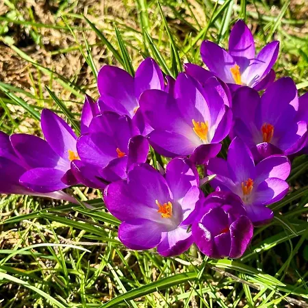 펜션 Matilda Iii - Naturidyll Mit Komfort *