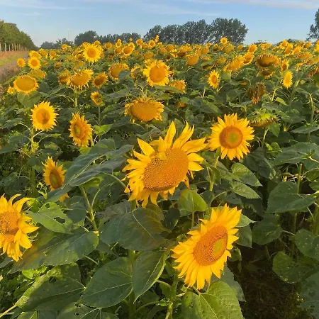 Matilda Iii - Naturidyll Mit Komfort 펜션 미로우