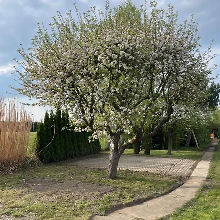 펜션 Matilda Iii - Naturidyll Mit Komfort *