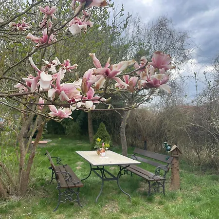 Casa de Férias Matilda Iii - Naturidyll Mit Komfort Mirow