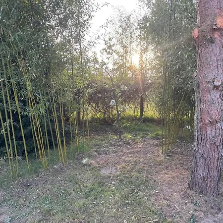 Matilda Iii - Naturidyll Mit Komfort * Mirow