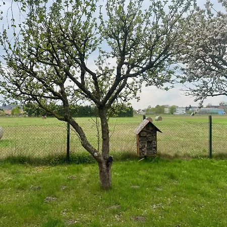 Matilda Iii - Naturidyll Mit Komfort Mirow