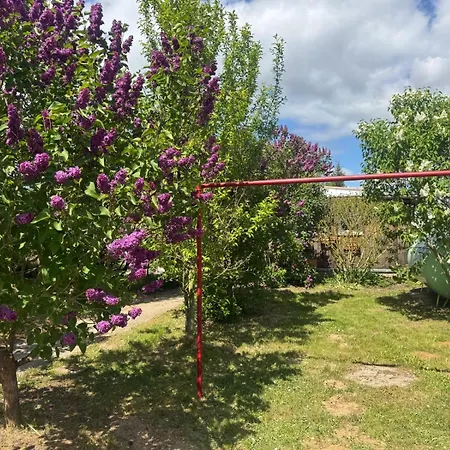 Matilda Iii - Naturidyll Mit Komfort 펜션 *