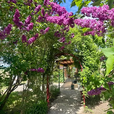 Matilda Iii - Naturidyll Mit Komfort 別荘 ミロー