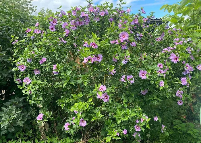 Matilda Iii - Naturidyll Mit Komfort 別荘