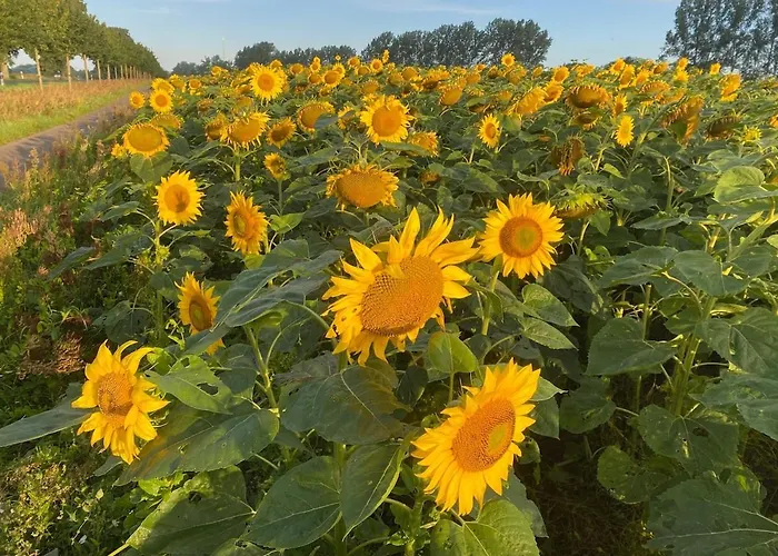 Matilda Iii - Naturidyll Mit Komfort 別荘 ミロー