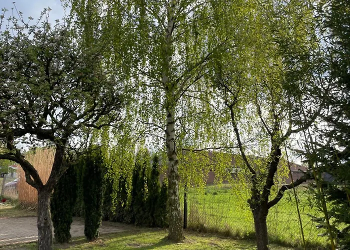 別荘 Matilda Iii - Naturidyll Mit Komfort *