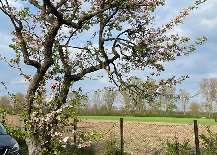 別荘 Matilda Iii - Naturidyll Mit Komfort