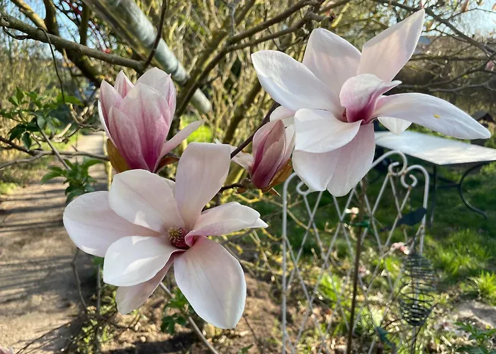 Matilda Iii - Naturidyll Mit Komfort *