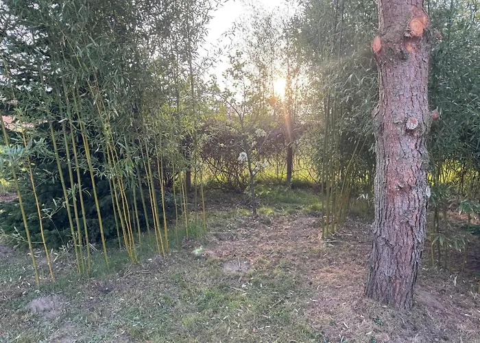 Matilda Iii - Naturidyll Mit Komfort * ミロー