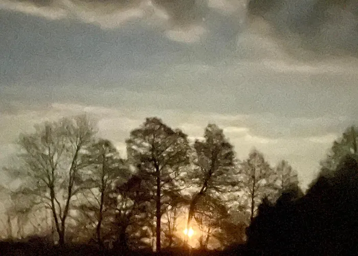 Matilda Iii - Naturidyll Mit Komfort 別荘 ミロー