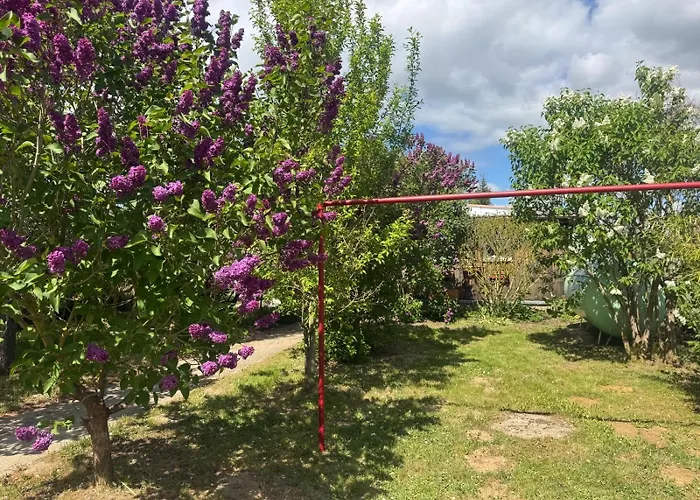 Matilda Iii - Naturidyll Mit Komfort 別荘 *